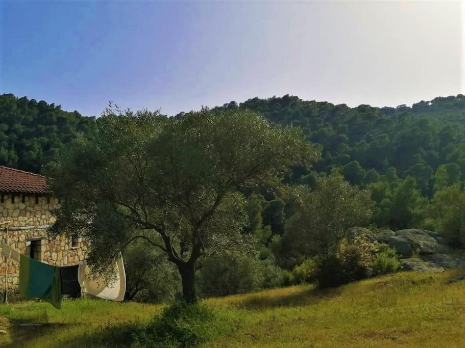 Villa Wood & Stone Dream View House B à Diaporos Extérieur photo