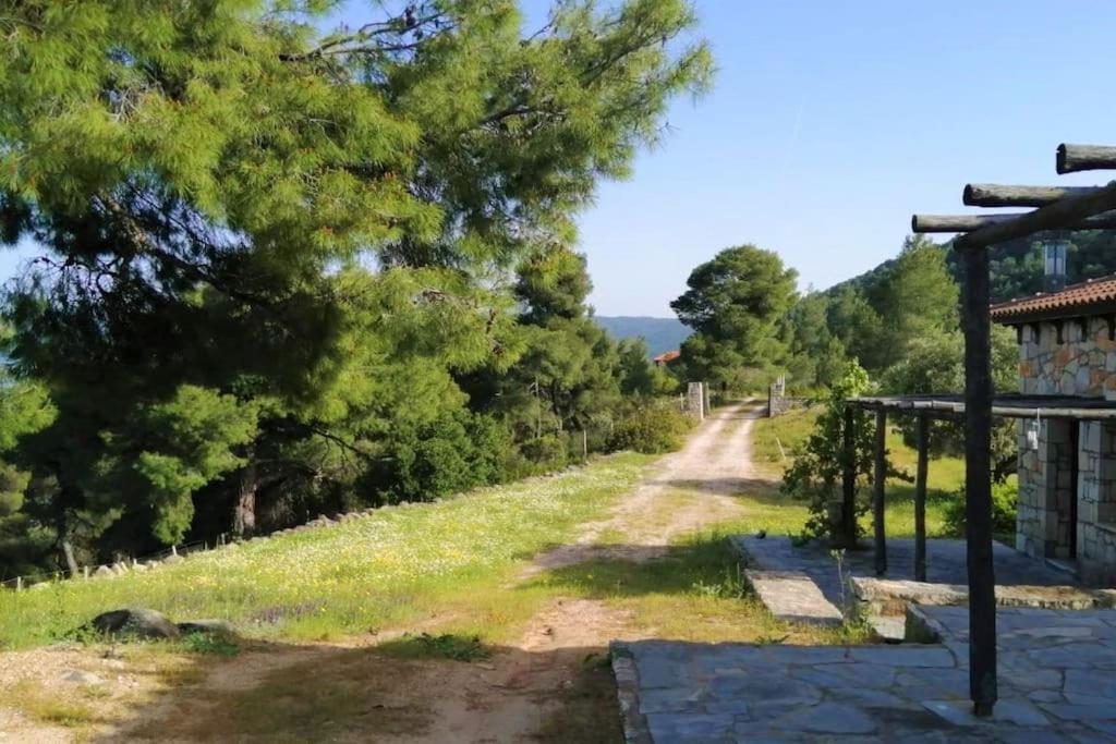 Villa Wood & Stone Dream View House B à Diaporos Extérieur photo